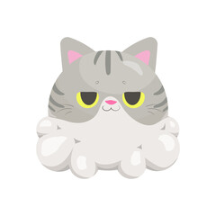 animals cute