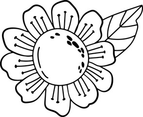 Sunflower. Linear style. White background, isolate.	