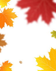 Naklejka na ściany i meble Autumn colored fall leaf texture on transparent background overlay. PNG illustration