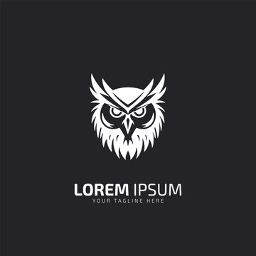 Owl logo design, night hunter logo, bird logo.