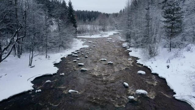 Drone view over a river and a bridge in the middle of a forest during a snowy winter