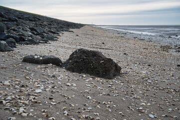 Stein am Strand der Nordsee in Tossens, Butjadingen