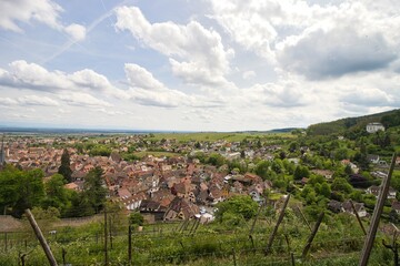 Blick auf Ribeauvillé in Frankreich von den Weinbergen