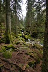 Sicht auf die Triberger Wasserfälle