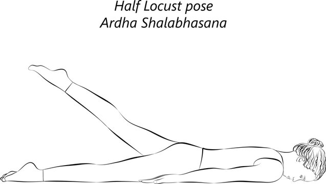Sketch of young woman practicing yoga, doing Half Locust pose. Ardha Shalabhasana. Prone and Backbend. Beginner. Isolated vector illustration.