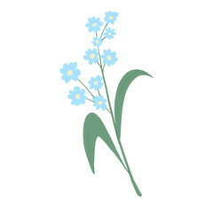 Sky blue forget me not pastel colors minimal flowers hand drawn