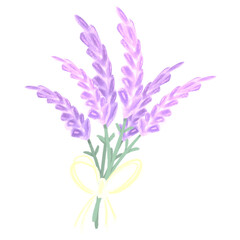 Lavenders bouquet pastel colors minimal flowers hand drawn