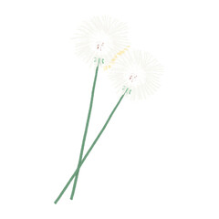 Dandelion pastel colors minimal flowers hand drawn