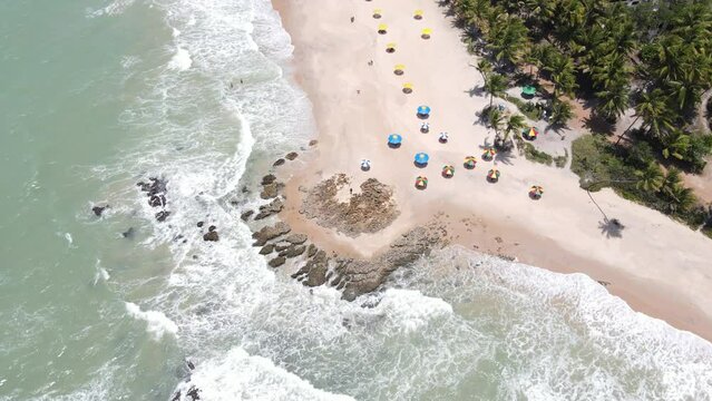 Aerial footage showing the Town of Maceio in Alagoas on trees beach in Brazil in the summer