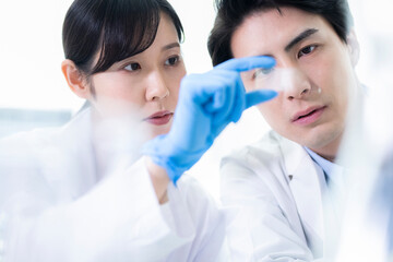 Scientists discussing progress in the laboratory