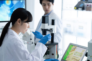 Scientists discussing progress in the laboratory	
