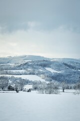 Vertical winter wonderland with beautiful snow-covered landscape