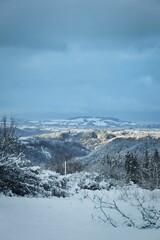 Obraz premium Vertical winter wonderland with beautiful snow-covered landscape