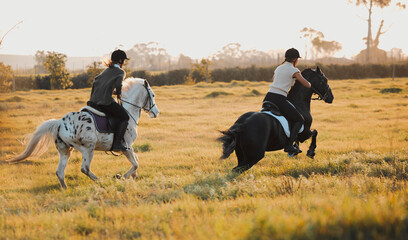 Horse riding, equestrian and hobby with friends in nature racing on horseback during a summer...