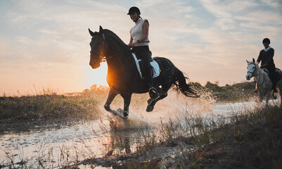 Adventure, horse riding and sunset with water or girl for travel in summer or weekend in field....