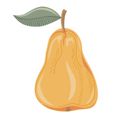 Ripe pear. Sweet fruit. Hand drawn element for autumn decorative design, halloween invitation, harvest or thanksgiving. Vector illustration