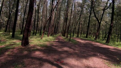 Fpv drone footage of Nargol beach, Gujarat. Nargol beach is dotted with Casuarina trees and the waters have a population of sea turtles.