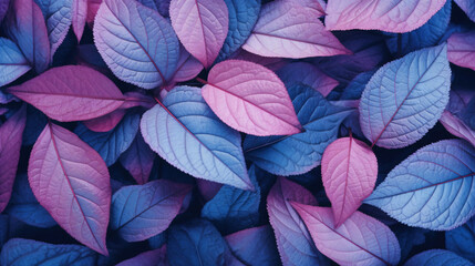 Obraz na płótnie Canvas Natural macro texture of beautiful leaves