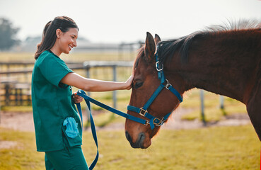 Woman veterinary, horse and medical care outdoor for health and wellness in the countryside. Happy...