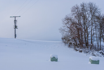  Utility Pole and Winterland