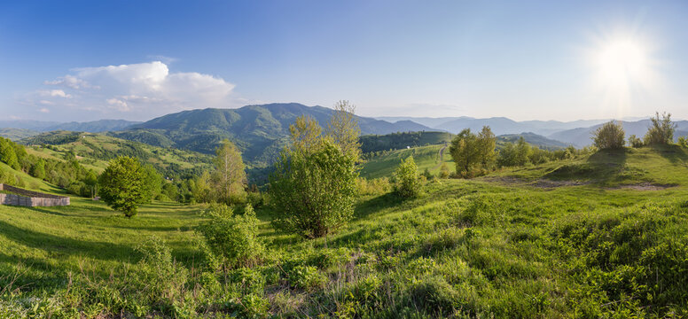 Mountain meadows and forests on Carpathian ridges in sunny weather