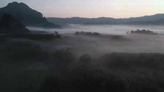 4k Drone flying over misty trees at sunrise in Northern Thailand at Phu Langka viewpoint