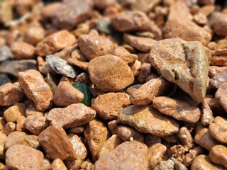 life in Vancouver, New York, and Shanghai.