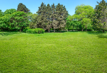 landscape of green lawn and trees in summer park