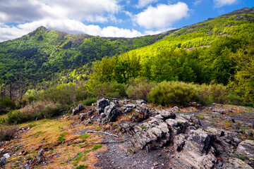 Barranco de las Víboras