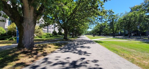 life in Vancouver, New York, and Shanghai.