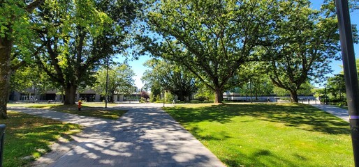 life in Vancouver, New York, and Shanghai.