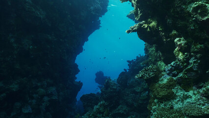 Fototapeta na wymiar Coral caves on sunny day in bright sunlight, Backlighting (Contre-jour) Red sea, Safaga, Egypt