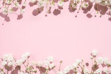 Obraz na płótnie Canvas Baby's breath gypsophila frame border on pink background with shadow. Top view close flatlay