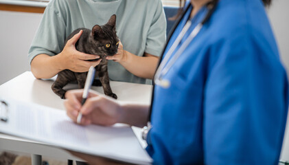 Professional vet doctor helps cat. owner cat holding pet on hands. Cat on examination table of veterinarian clinic. Veterinary care. Vet doctor and cat