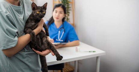 Professional vet doctor helps cat. owner cat holding pet on hands. Cat on examination table of veterinarian clinic. Veterinary care. Vet doctor and cat