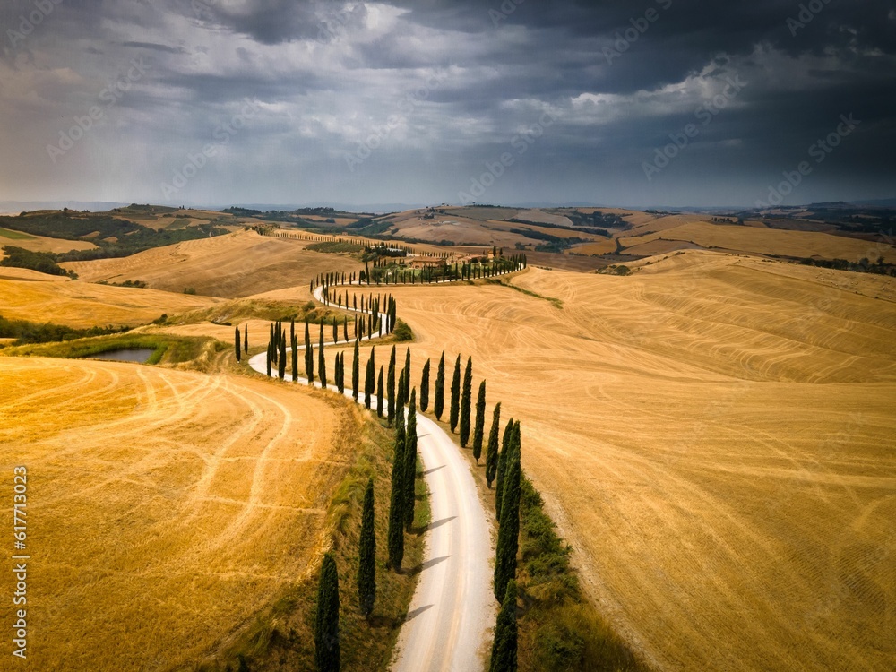 Poster road through the fields leading to rolling hills and cypress trees