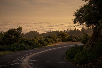 a winding road leading to the beach