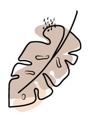 Leaf vector illustration