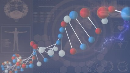 Animation of dna helix over human body, brain over computer icons and human skeleton in circles - Powered by Adobe