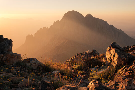 Dramatic mountain silhouette at sunset with glowing golden sky, rocks and yellow flowers.