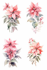 Set of watercolor artwork of pink poinsettia and leaves isolated, vintage grunge boho minimalist style, white background, set of four style