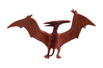 Small toy dinosaur, Pteranodon, isolated on blank background.