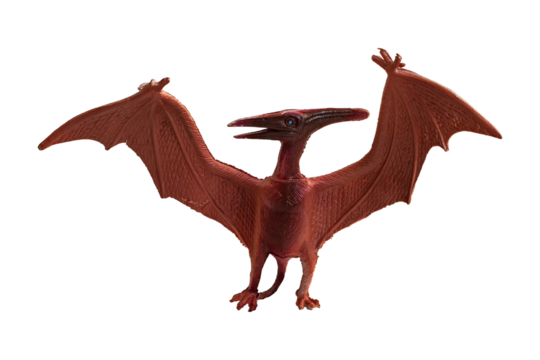 Small toy dinosaur, Pteranodon, isolated on blank background.