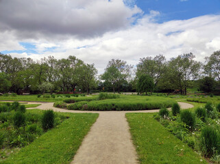 Obraz premium Danube park in Vienna in bright spring day