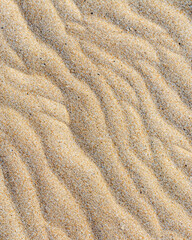 Fototapeta na wymiar Sand texture for graphic resources. Beach, summer sand background.