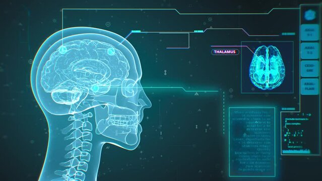 3d rendered animation of digital brain in human skull in blue colors