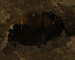 Digged grave in the backyard. A pit dug in the ground. A grave. Hole in the ground. green grass around. tree planting hole in the park. hole in the ground. Dig the pit for planting saplings.