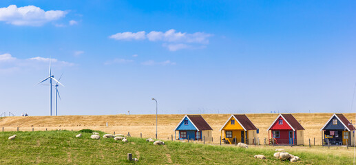 Panorama of sheep on the dike in front of colorful cabins in Termunterzijl, Netherlands