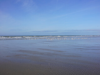 Hardelot-Plage est une station balnéaire française, appartenant à la commune de Neufchâtel-Hardelot. ; Elle est située sur la Côte d'Opale, dans le département du pas-de-calais