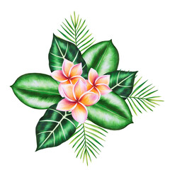 Watercolor realistic tropical bouquet illustration of plumeria flowers with monstera and palm leaves isolated on white background. Beautiful botanical hand painted frangipani. For designers, spa 